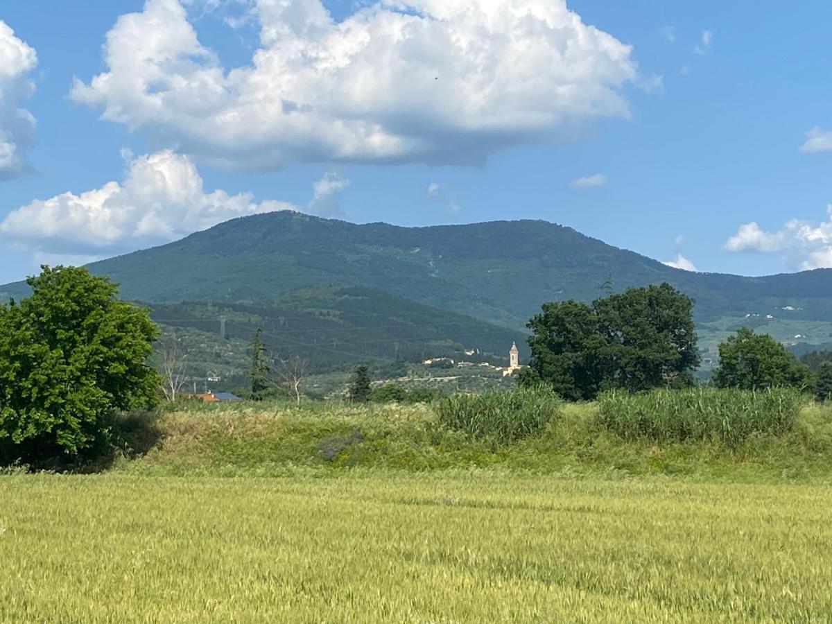 Accanto A Firenze 普拉托 外观 照片