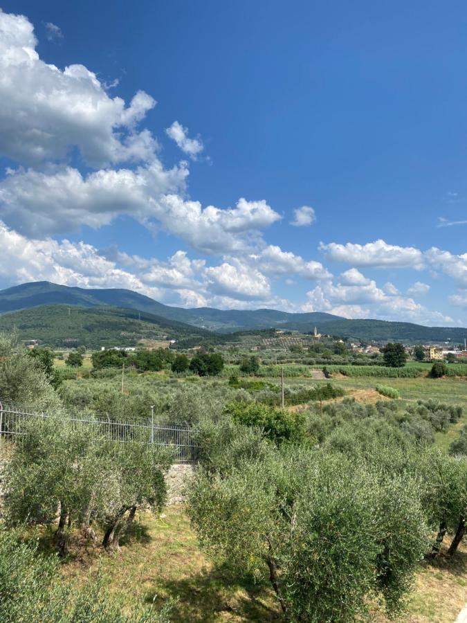 Accanto A Firenze 普拉托 外观 照片